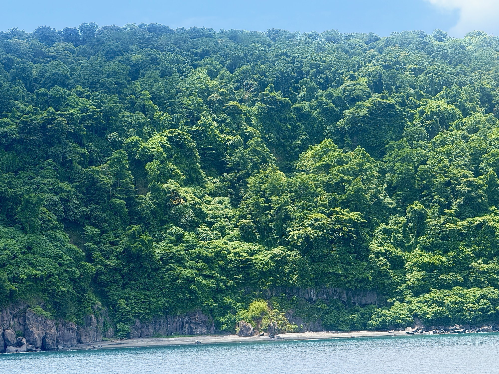 The vegetated caldera wall of Krakatoa rising from the Sunda Strait